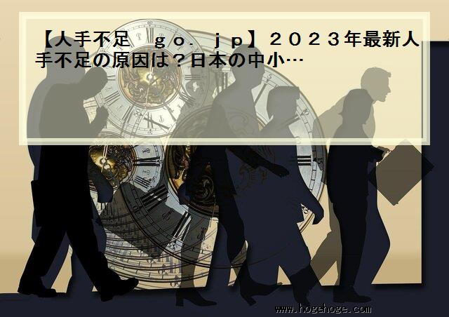 【人手不足 go.jp】2023年最新人手不足の原因は？日本の中小…