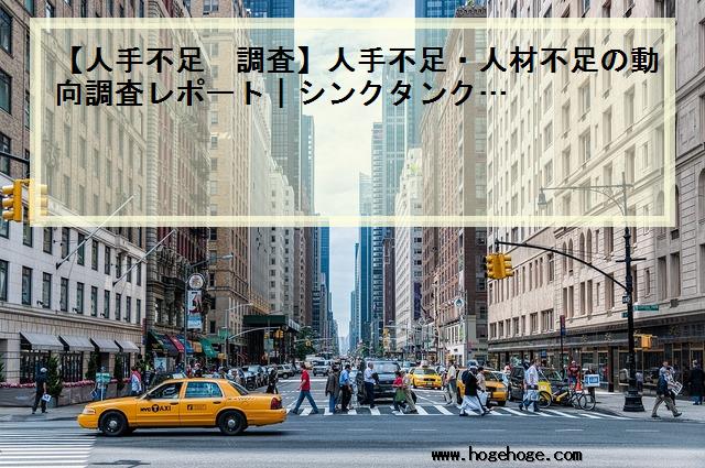 【人手不足 調査】人手不足・人材不足の動向調査レポート|シンクタンク…